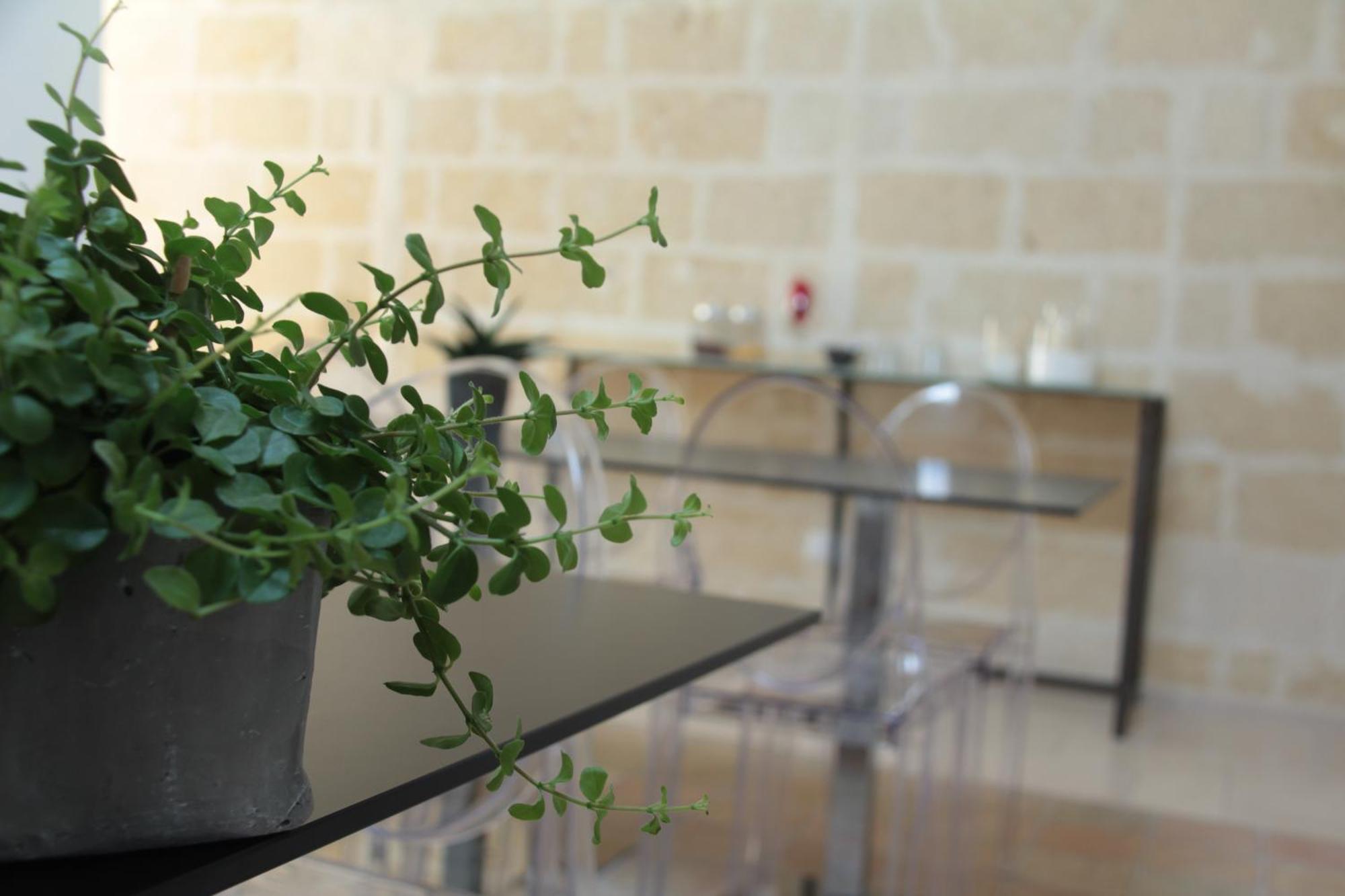 Lamia Room Rentals Matera Buitenkant foto
